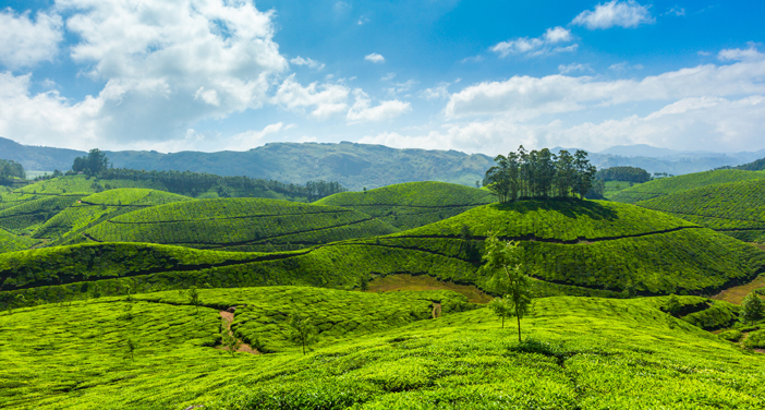 amusement spots in wayanad