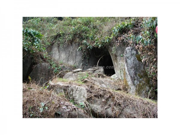 caves in wayanad