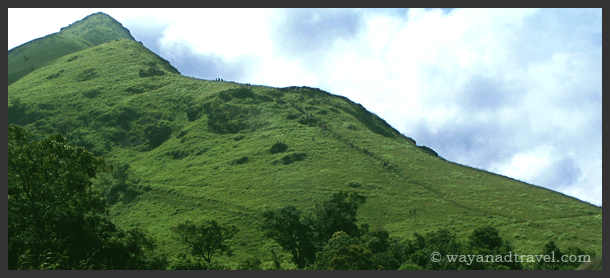 chembra peak