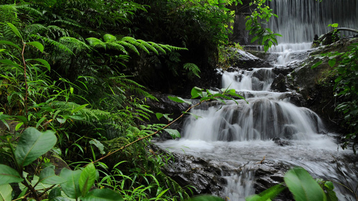 chethalayam waterfalls