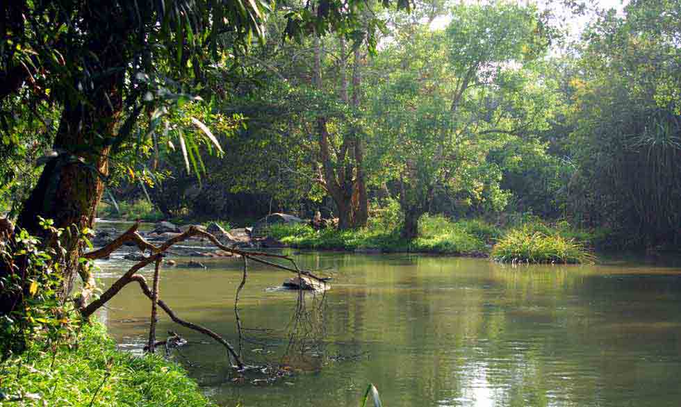 kuruva dweep in wayanad