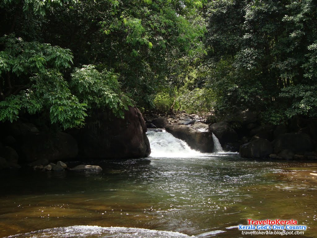 Rivers and Streams in Wayanad