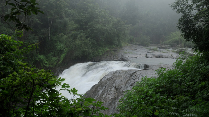 waterfalls in wayanad