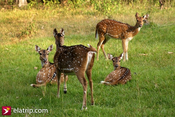 begur wildlife sanctuary