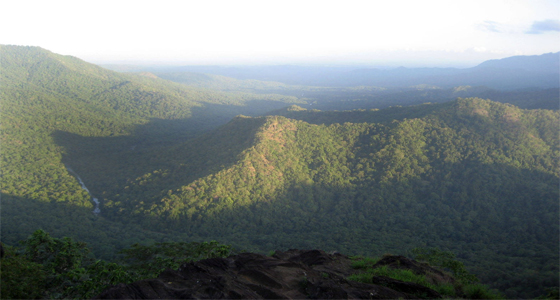 viewpoints in wayanad