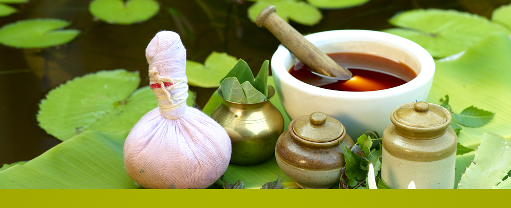 ayurvedic retreat centers in wayanad