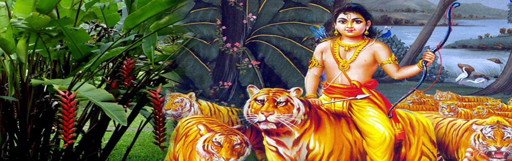 animal carriers of sree dharma sastha