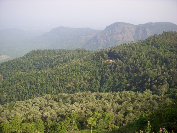 ladies seat, gents seat and children seat in yercaud