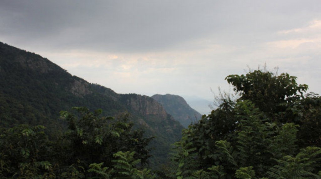 shevaroy hills in yercaud