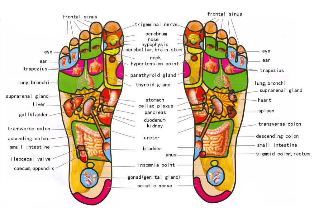 foot-reflexology (1)