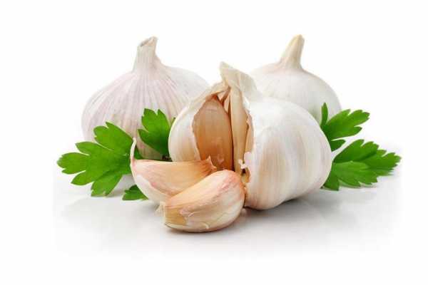 Garlic