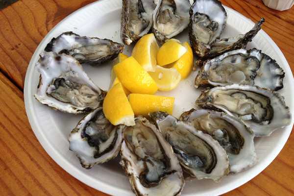 Oysters