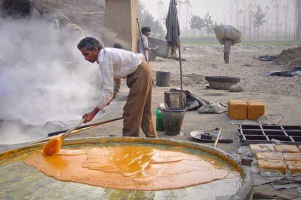 Sugar-vs-jaggery