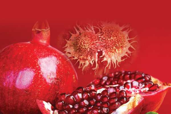 pomegranate-is-effective-against-prostate-cancer3