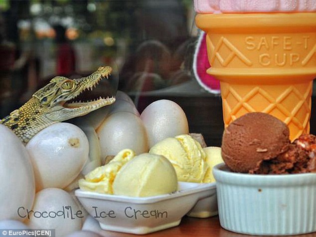 Crocodile flavored ice cream is now available