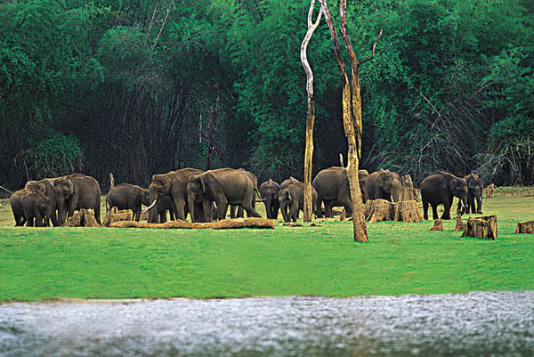 FOUR PILLARS OF KERALA TOURISM