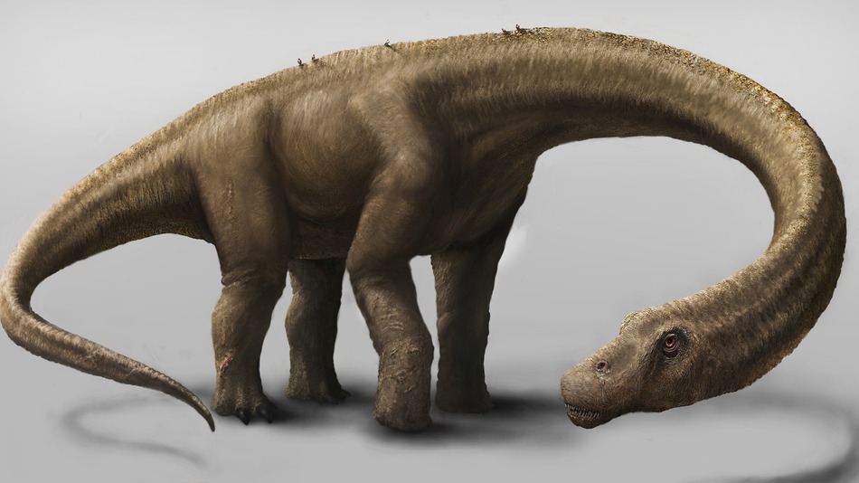 skeleton-of-a-dinosaur-is-found-in-argentina