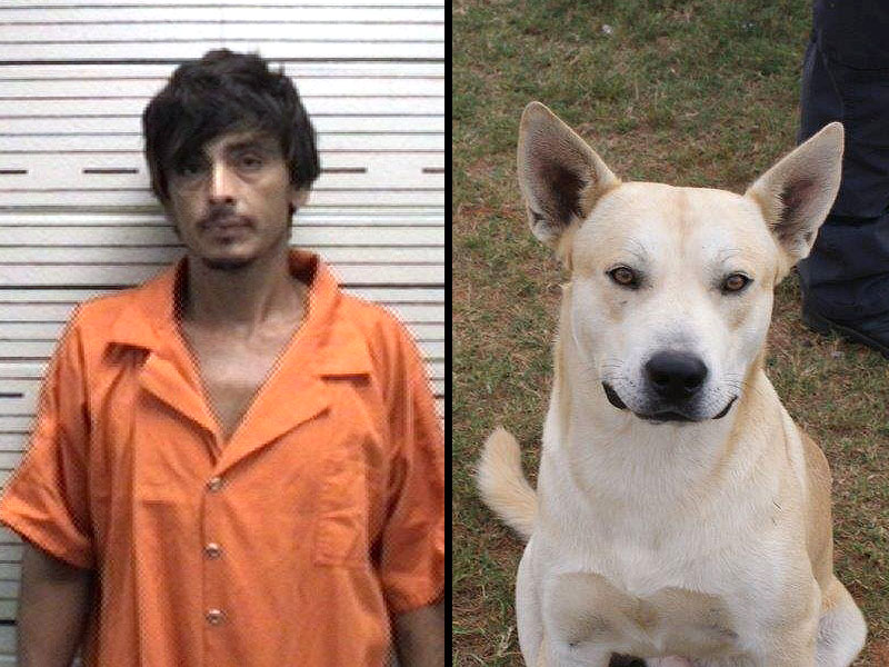 dog-helps-police-to-catch-his-own-master-on-drug-charge