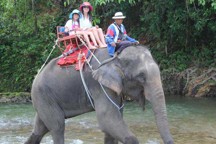Elephant throws off its handler during a jung