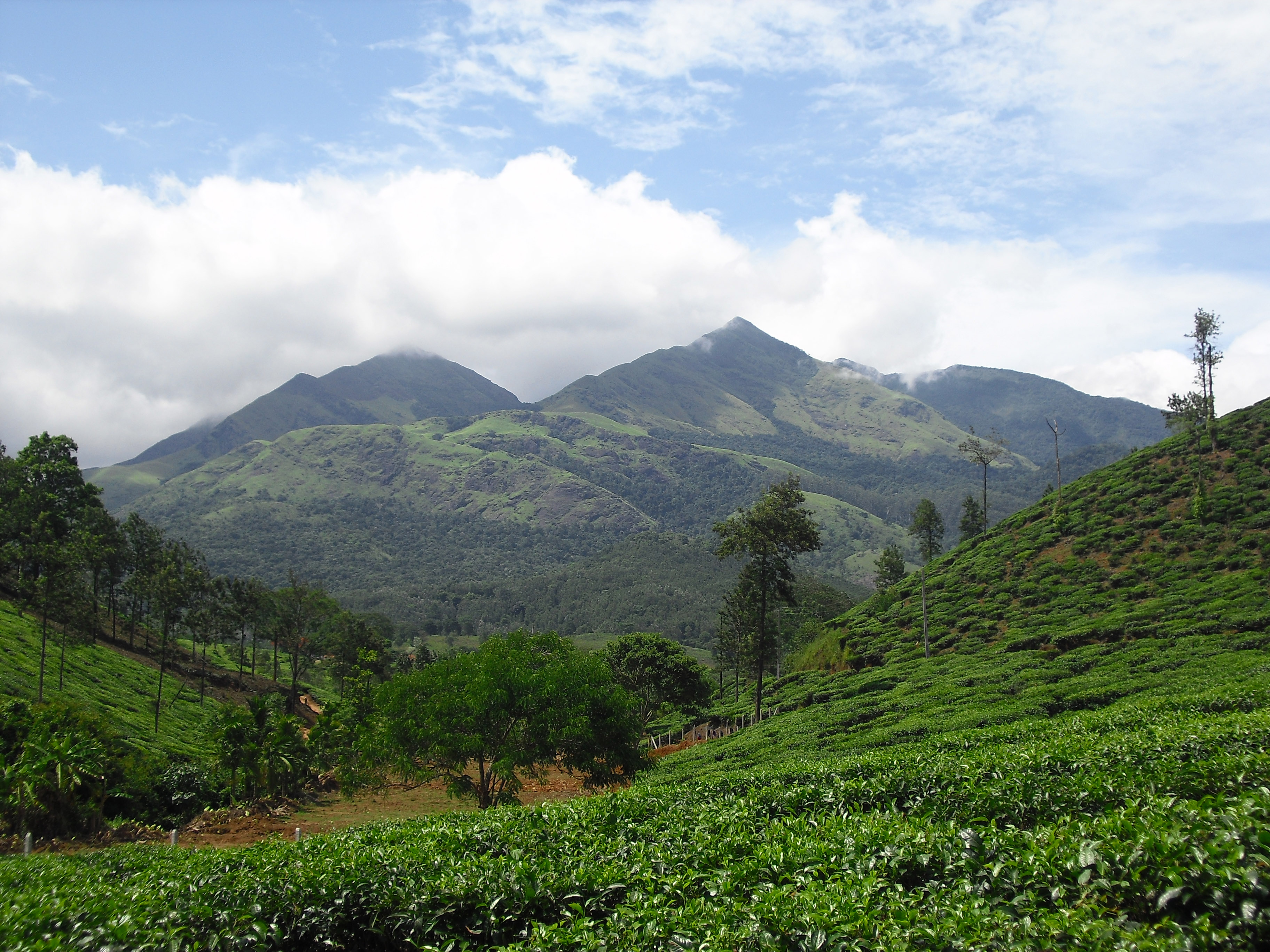 Interesting locations in Wayanad