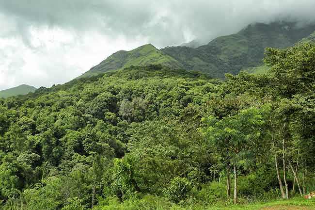 historical-and-heritage-sites-in-wayanad