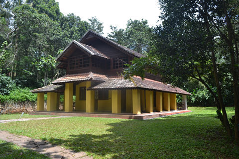 mangalam-carp-estate-in-wayanad