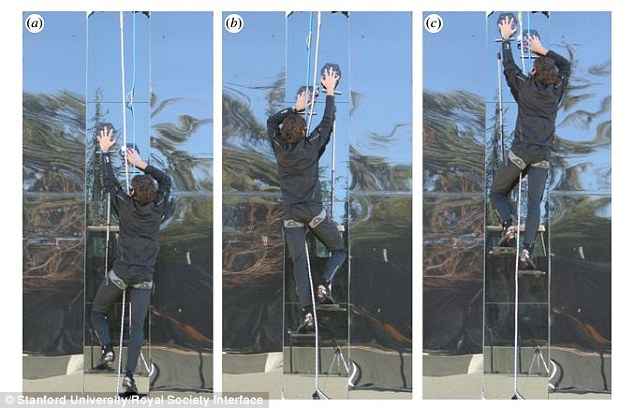 now-it-is-possible-for-humans-to-climb-up-vertical-glass-sheets