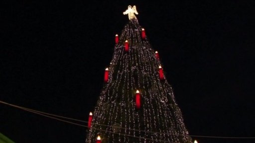 biggest-christmas-tree-in-the-world-is-lighten-up-in-germany