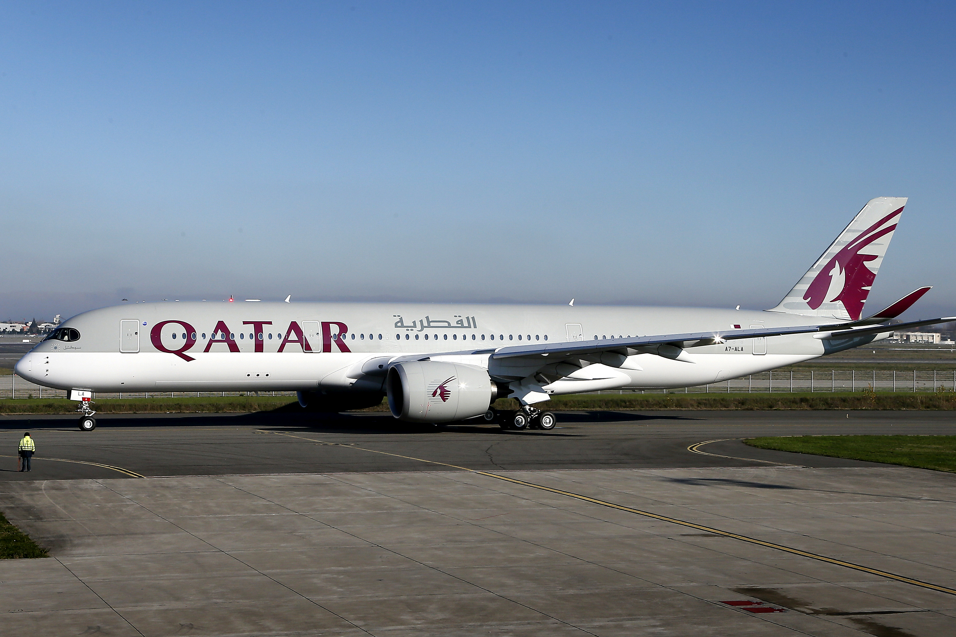 a-mouse-delays-qatar-airways-flight-for-six-hours