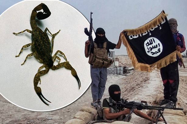 ISIS launch Scorpion Bombs to spread panic in