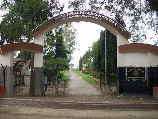 Regional Agricultural Research Station(RARS) 