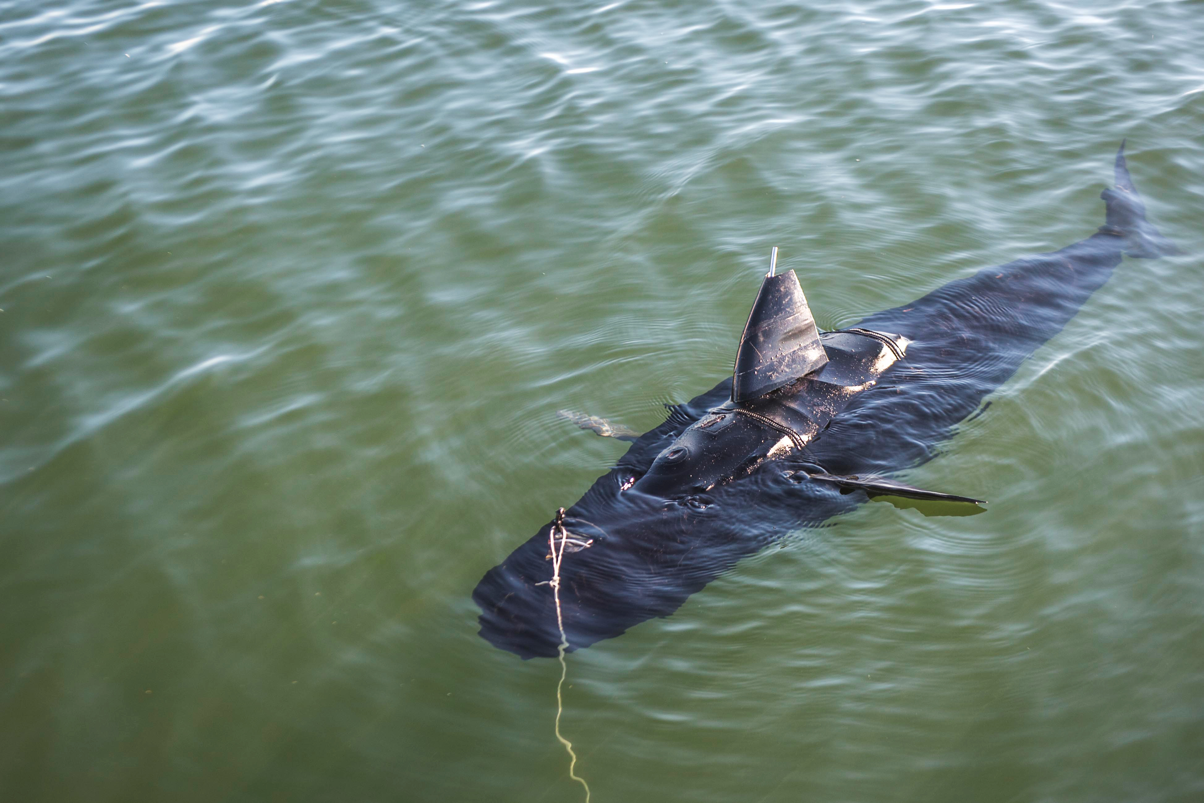 underwater-shark-robot-comes-to-help-us-navy