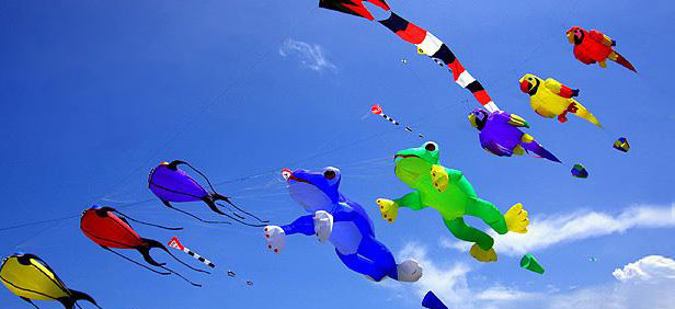 India celebrates International Kite Festival