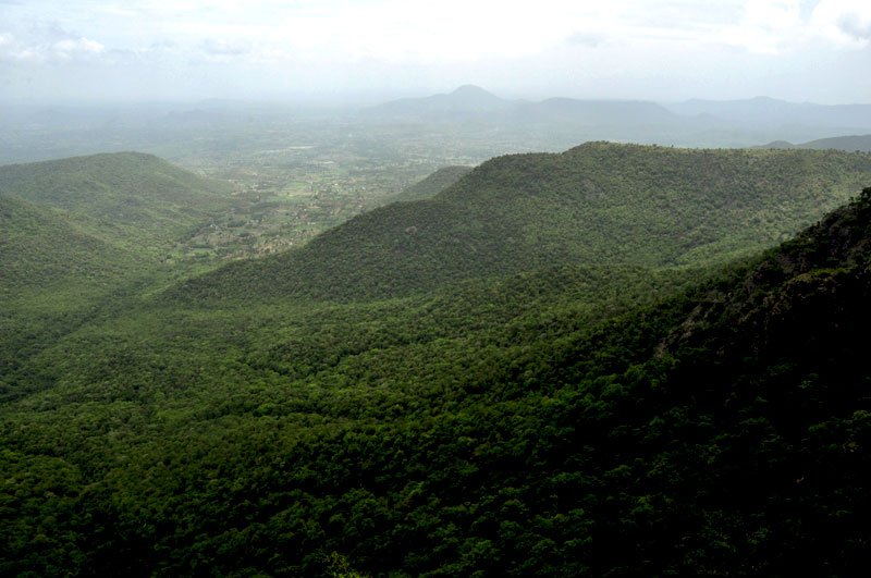 karadiyur-viewpoint-in-yercaud