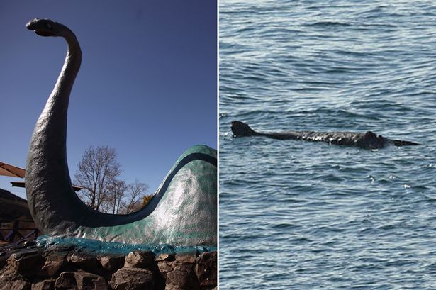 a-monster-sea-creature-spotted-on-british-coast