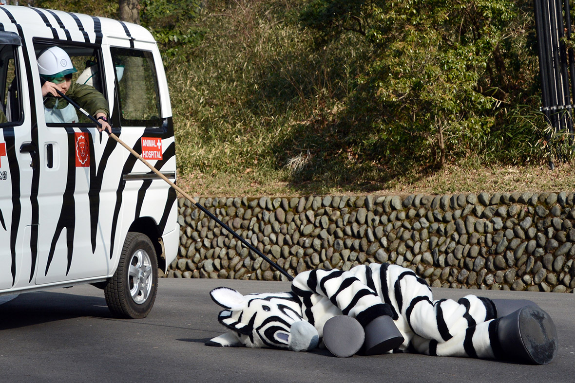 mock-drill-to-prevent-animals-escaping-from-zoo