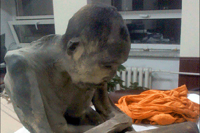mummified-200-year-old-monk-is-believed-to-be-meditating