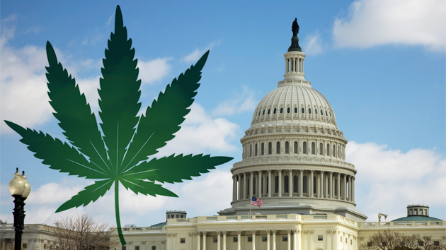 washington-dc-legalizes-the-possession-and-use-of-marijuana