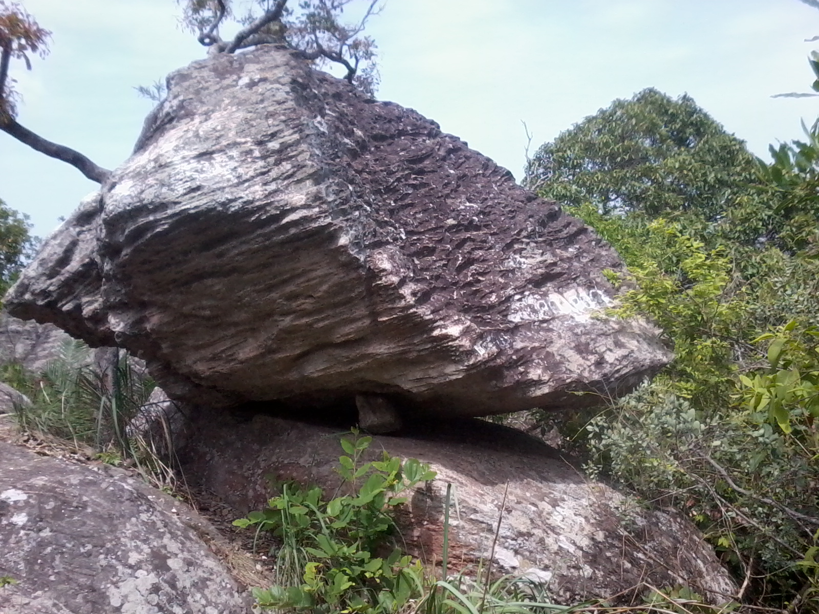 white-elephant-tooth-rocks-in-yercaud