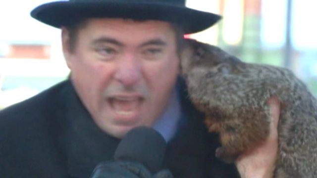 groundhog-bites-wisconsin-mayors-ear-during-ceremony