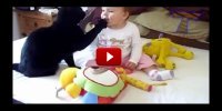 funny-cats-and-cute-babies-playing-together