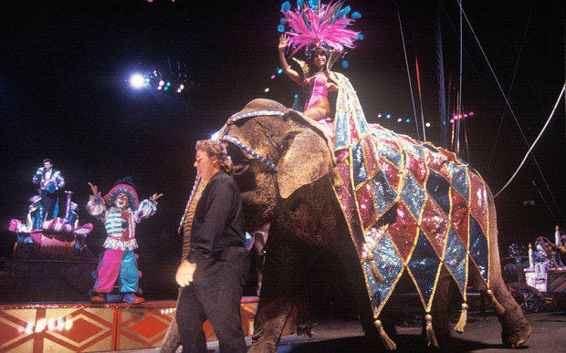 major-circus-groups-in-us-to-stop-performances-of-elephants-in-shows