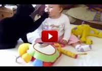 Funny cats and cute  babies playing together.