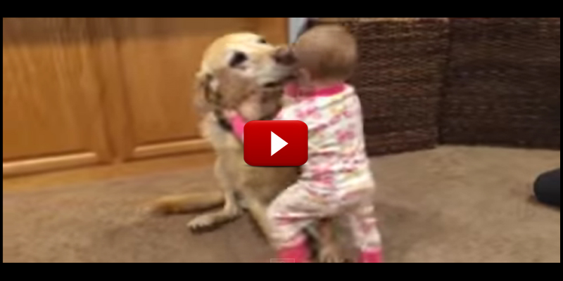 adorable-babies-and-cute-dogs-compilation