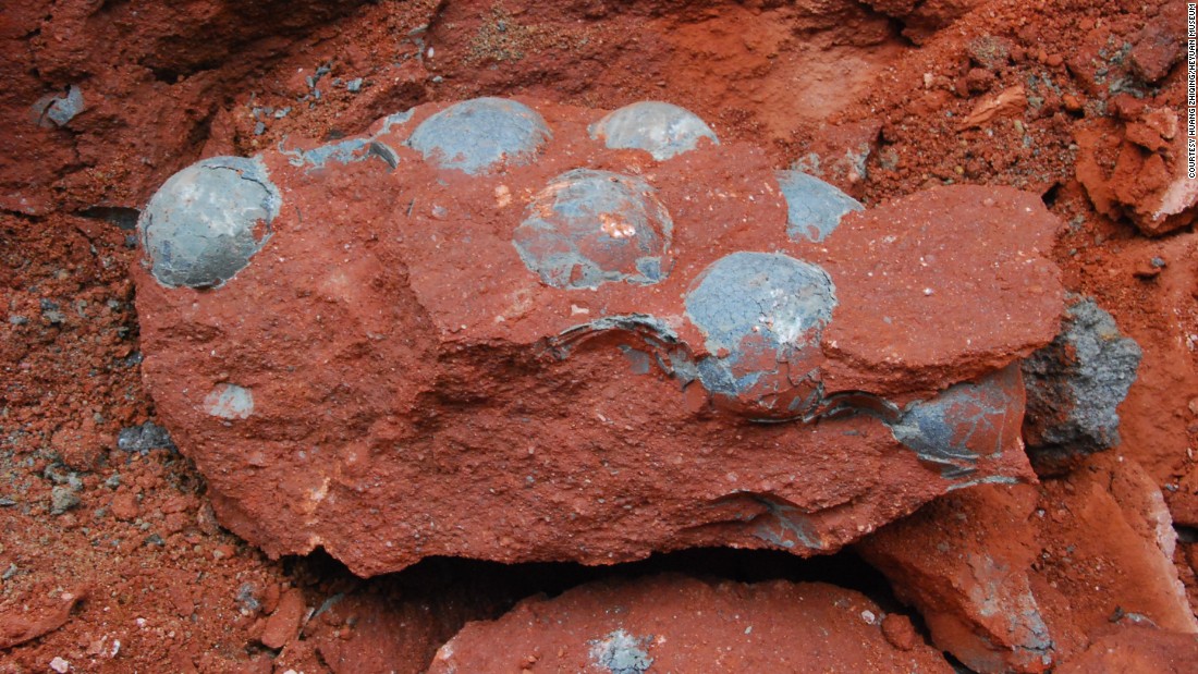 dinosaur-egg-fossils-recovered-from-a-city-center-in-china