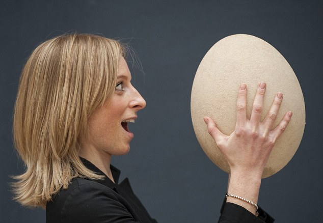 egg-laid-by-the-largest-bird-goes-for-auction-in-london