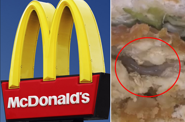 one-customer-bites-worm-inside-mcdonalds-mcchicken-sandwich