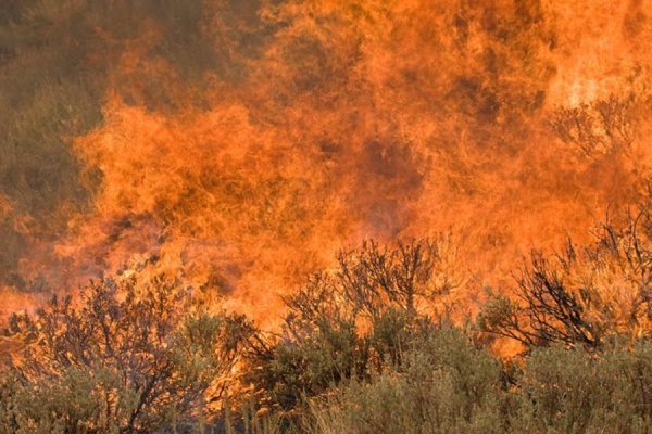 california-wildfires-force-nearby-residents-to-evacuate-their-homes