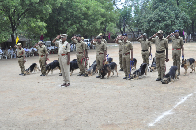 india-gets-14-new-sniffer-dogs-to-combat-tiger-poaching