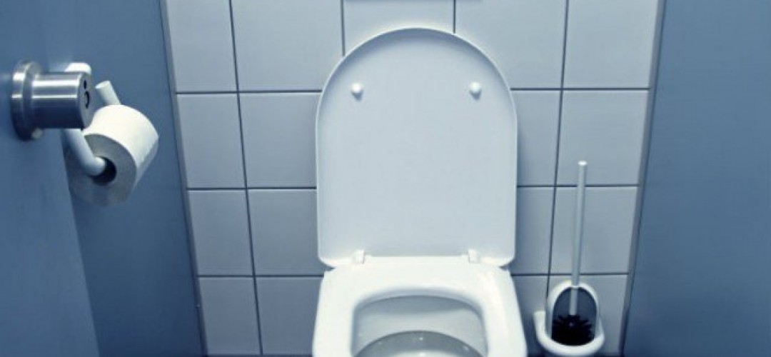 japan-to-arrange-toilet-facilities-in-lifts